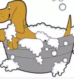 Pasji salon kul p`s grosuplje