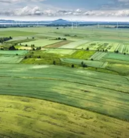 Poljska dela s traktorjem stajerska