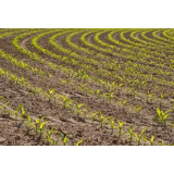 ALJAŽ TRATNJEK S.P.