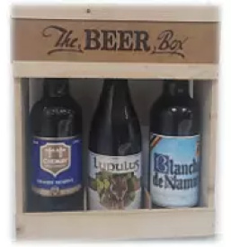 Prodaja craft piva slovenija .png