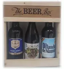 Prodaja craft piva slovenija .png