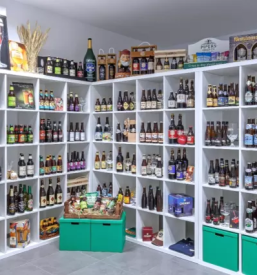 Craft pivo Slovenija