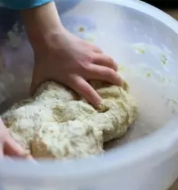 Prodaja domacih zlinkrofov slovenija