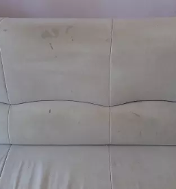 Rocna avtopralnica in globinsko ciscenje slovenske konjice