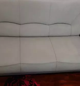 Rocna avtopralnica in globinsko ciscenje slovenske konjice