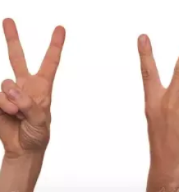 Tolmacenje znakovnega jezika novo mesto dolenjska slovenija