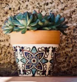 Ugoden vrtni program ljubljana