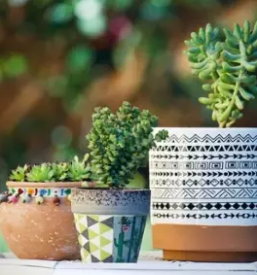 Ugoden vrtni program ljubljana