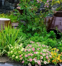 Ugoden vrtni program ljubljana