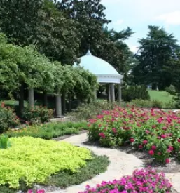 Urejanje okolice Maribor - naroči storitev