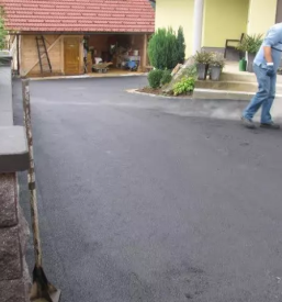 Visoke gradnje ribnica okolica dolenjska