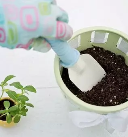 Ugoden vrtni program ljubljana