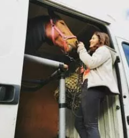 Dresura in treningi konj slovenija