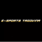 E-SPORTS, MIHA PRAVIČEK S.P.