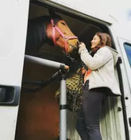 Rehabilitacija in trening konj slovenija