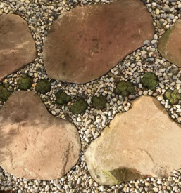 Vrtnarstvo žalec, celje, okolica, savinjska