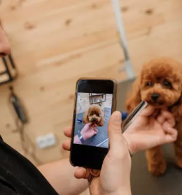 Moski in zenski frizer v ljubljani