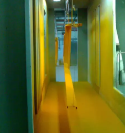 Prasno barvanje ljutomer