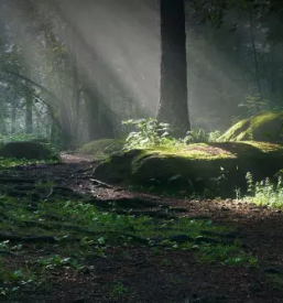 Prodaja pirotehnike Slovenija