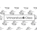 VRTNARSTVO OLEA, SAŠO TAVČAR S.P.