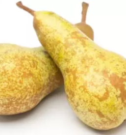 Domace sadje in zelenjava ljubljana okolica osrednja slovenija