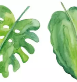 Likovni tecaji stajerska