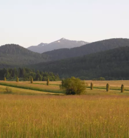 Lokalno turistično vodenje Notranjska