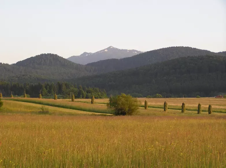 Lokalno turistično vodenje notranjska regija