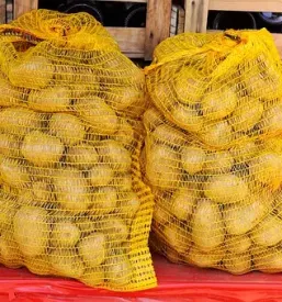Prodaja semenskega krompirja Slo