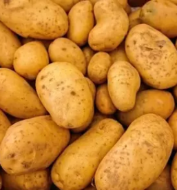 Prodaja semenskega krompirja cena