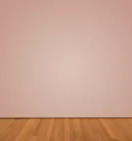 Odstranjevanje zidne plesni