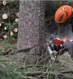 Secnja in spravilo lesa zelezniki gorenjska