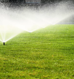 Ugodno urejanje okolice ankaran