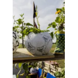 ZOOSOFIA OSKRBA IN NEGA HIŠNIH ŽIVALI, PETER MARIČIĆ S.P.