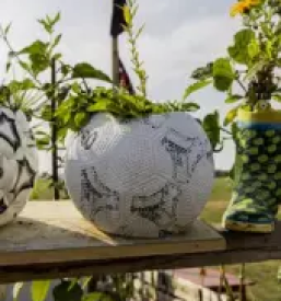 Urbani ribnik z akvaponiko primorska slovenija