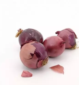 Domace sadje in zelenjava skofja loka