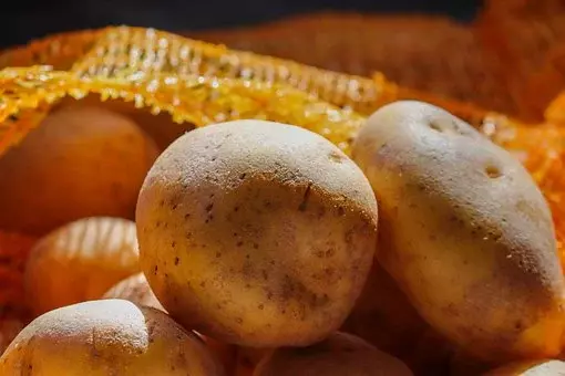 Ugodna prodaja semenskega krompirja Slovenija