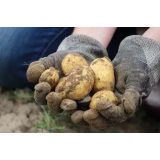 Semenko, Maja Premrl s.p.