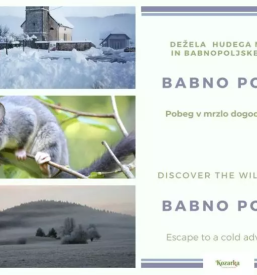 Turistično vodenje za šole Notranjska