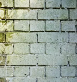 Poceni sanacija vlage Slovenija