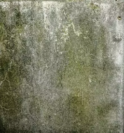 Profesionalna sanacija vlage Slovenija