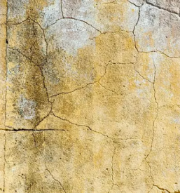 Zanesljiva sanacija vlage Slovenija