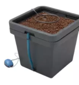 Cbd shop nova gorica