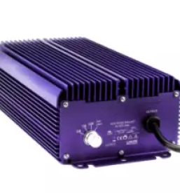 Cbd shop nova gorica