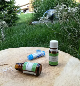 Consulting on vital energy slovenia