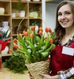 Cvetlicarna cirkovce