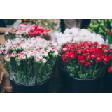 CVETLIČARNA MAK, BERNARDA GRANDA S.P.