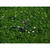 VI-SO, Sonja Kranjc s.p.