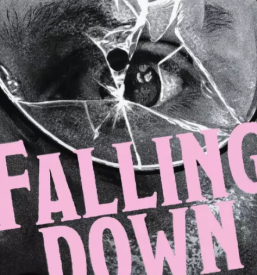 Kvalitetno graficno oblikovanje celje savinjska