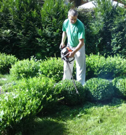 Kakovostno projektiranje in urejanje vrtov Slovenija